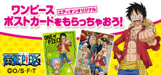 ワンピースキッズカード キャンペーン 