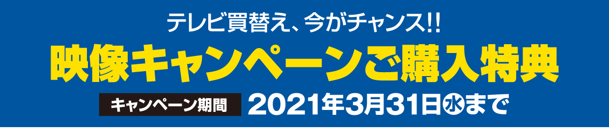 テレビ買替え今がチャンス 映像キャンペーンご購入特典 エディオンメンバーズサイト