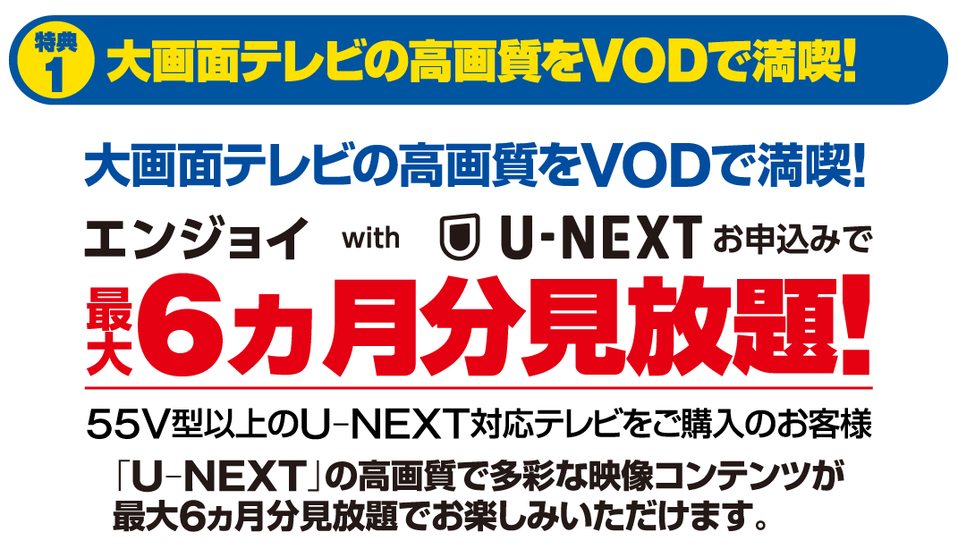 テレビ買替え今がチャンス 映像キャンペーンご購入特典 エディオンメンバーズサイト