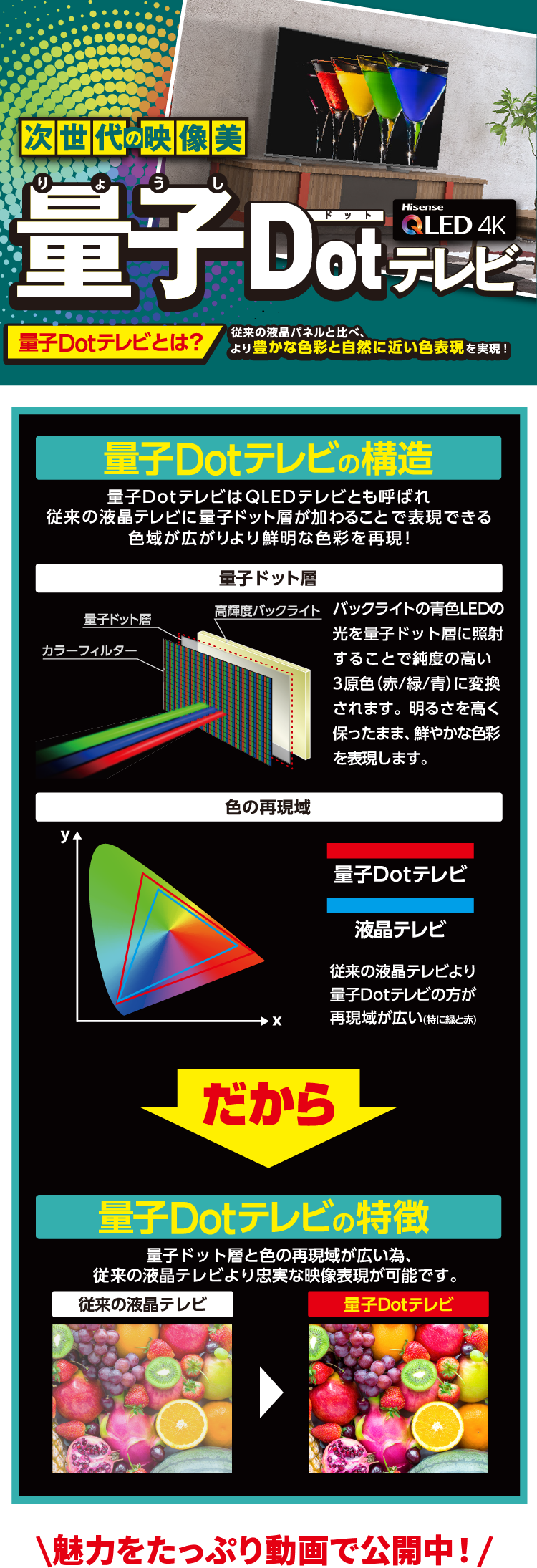 次世代の映像美 量子dotテレビ エディオンメンバーズサイト
